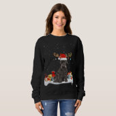 クリスマスおもしろい照明トインデナーサンタハシュナウザーC スウェットシャツ (正面フル)