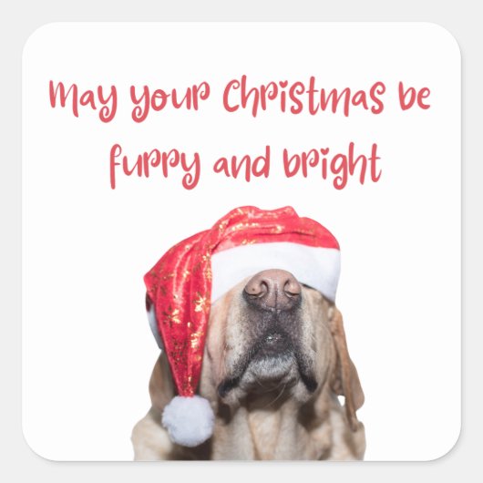 クリスマスおもしろい犬 スクエアシール (正面)