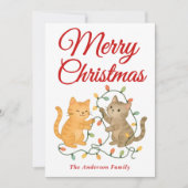 クリスマスお洒落の光を照らす猫 シーズンカード (正面)