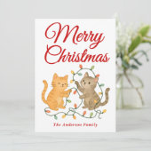 クリスマスお洒落の光を照らす猫 シーズンカード (スタンド正面)