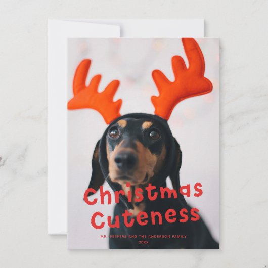 クリスマスかわいいおもしろい赤い休日の写真 シーズンカード (正面)