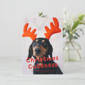 クリスマスかわいいおもしろい赤い休日の写真 シーズンカード (スタンド正面)