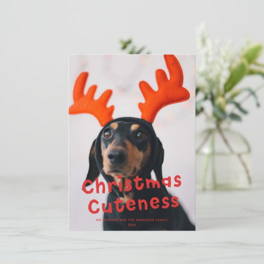 クリスマスかわいいおもしろい赤い休日の写真 シーズンカード (スタンド正面)