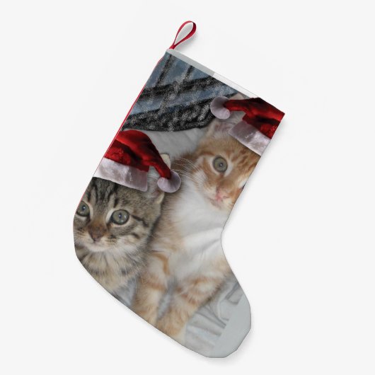 クリスマスかわいいタビー猫 スモールクリスマスストッキング (正面 (吊り時))