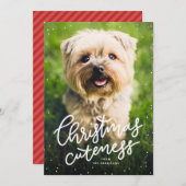 クリスマスかわいいペットのホリデーカード シーズンカード (正面/裏面)