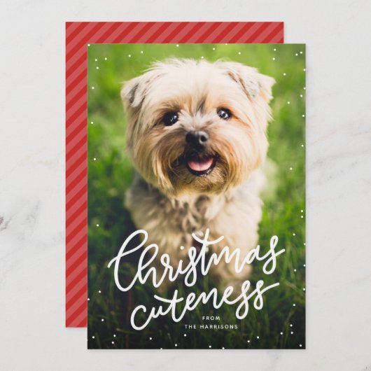 クリスマスかわいいペットのホリデーカード シーズンカード (正面/裏面)