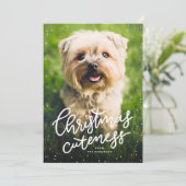 クリスマスかわいいペットのホリデーカード シーズンカード (スタンド正面)