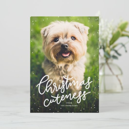 クリスマスかわいいペットのホリデーカード シーズンカード (スタンド正面)