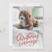 クリスマスかわいいペットのホリデーカード シーズンカード (正面)