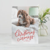 クリスマスかわいいペットのホリデーカード シーズンカード (スタンド正面)