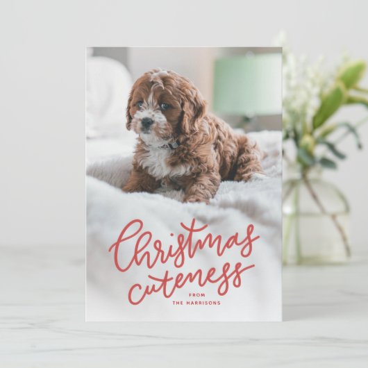 クリスマスかわいいペットのホリデーカード シーズンカード (スタンド正面)