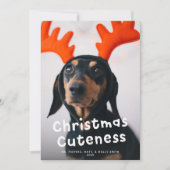 クリスマスかわいいペットドッグキャットフォトホワイトタイプ シーズンカード (正面)