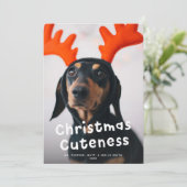 クリスマスかわいいペットドッグキャットフォトホワイトタイプ シーズンカード (スタンド正面)