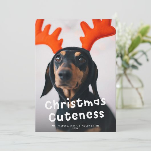 クリスマスかわいいペットドッグキャットフォトホワイトタイプ シーズンカード (スタンド正面)