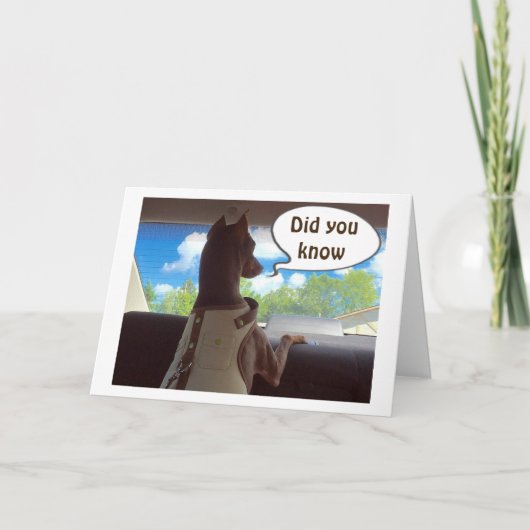 クリスマスが「お前と同じくらい特別なものだ」と願う シーズンカード (正面)