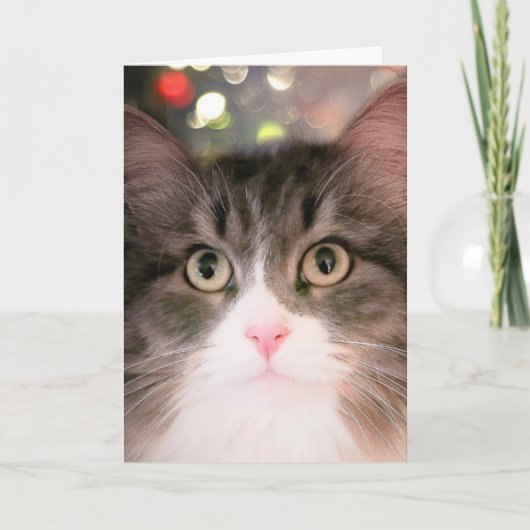 クリスマスきらめくの願い（クリスマスカード） シーズンカード (正面)