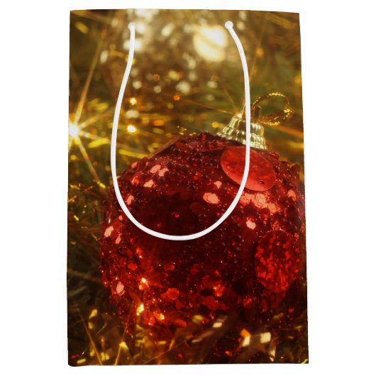クリスマスきらめく抱き枕 ミディアムペーパーバッグ (正面)