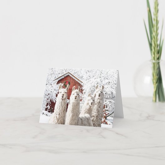 "クリスマスだ！" グリーティングカード サンキューカード (正面)