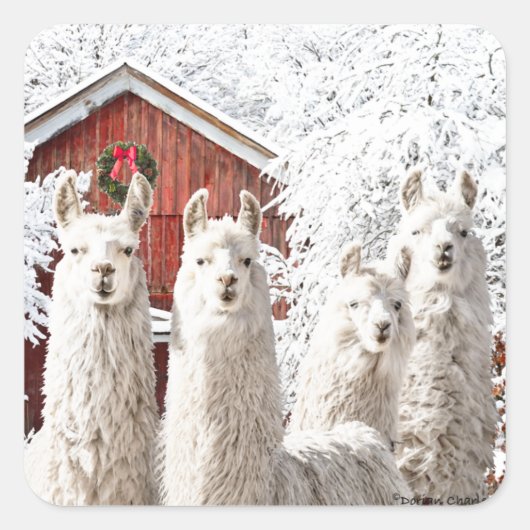 「クリスマスだ！」 シール (正面)