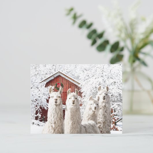 「クリスマスだ！」 ポストカード (スタンド正面)