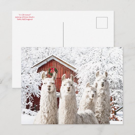 「クリスマスだ！」 ポストカード (正面/裏面)