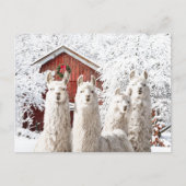 「クリスマスだ！」 ポストカード (正面)