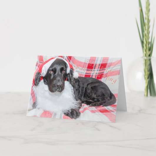 クリスマスなんて大嫌い カード (正面)