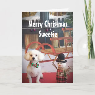 クリスマスにいけなの子犬の愛か素敵 シーズンカード