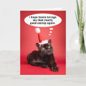 クリスマスにおかしい猫がキャットニップを考えているユーモア, クリスマス (正面)