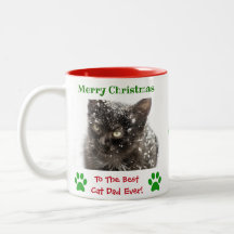 クリスマスにぴったり！最高の猫パパペットフォト
