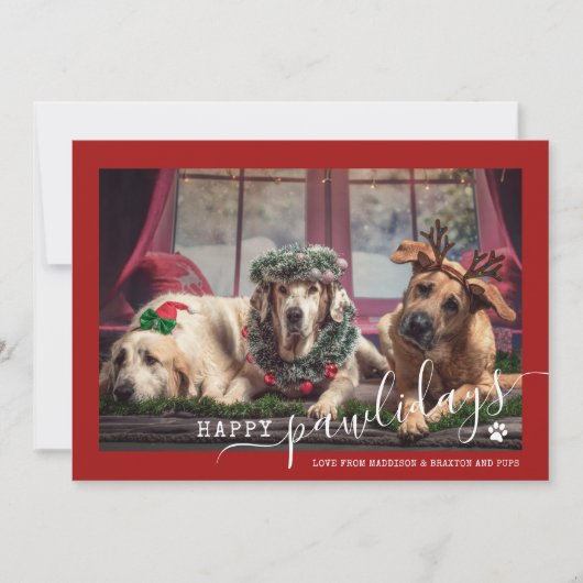 クリスマスにゃんにゃん 紅い犬の写真 シーズンカード (正面)
