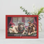クリスマスにゃんにゃん 紅い犬の写真 シーズンカード (スタンド正面)