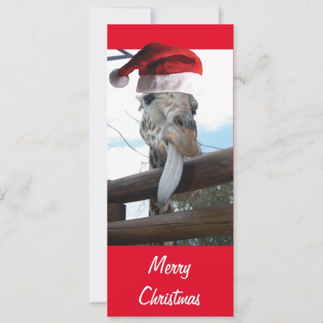 クリスマスにサンタクロースの帽子をかぶったキリン (正面)