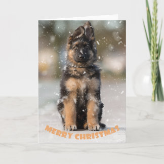 クリスマスにドイツの羊飼いの子犬。 カード