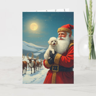 クリスマスにペットを失う悲しみ サンキューカード