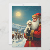 クリスマスにペットを失う 招待状 (正面)