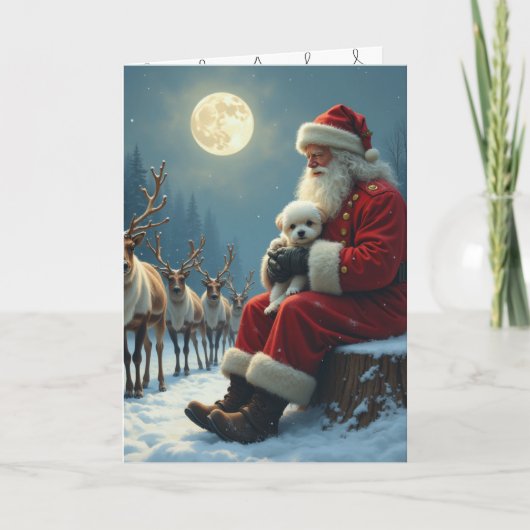 クリスマスにペットを失う 招待状 (正面)