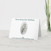 クリスマスにマルチーズを降ろす シーズンカード (裏面)