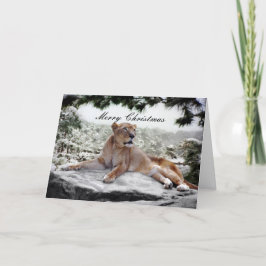 クリスマスにライオン シーズンカード