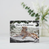 クリスマスにライオン シーズンポストカード (スタンド正面)