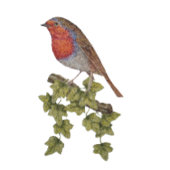 クリスマスに可愛いロビンの野生動物を抱えて セラミックオーナメント