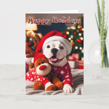 クリスマスに向けて準備が整ったホワイトアメリカン・ブルドッグ