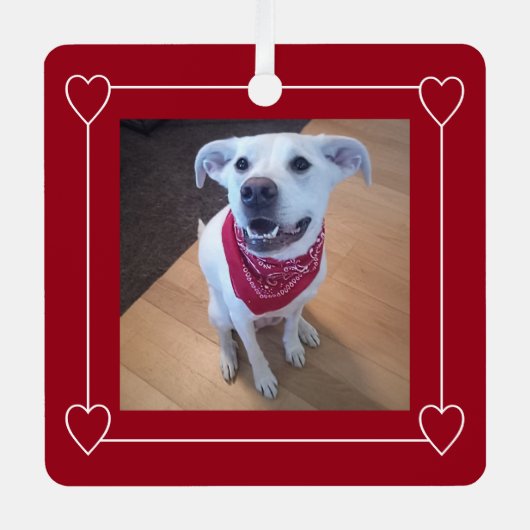 クリスマスに微笑む犬のかわいい赤と白写真 メタルオーナメント (正面)