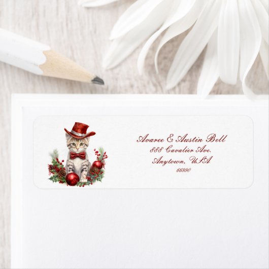 クリスマスに服を着た小さな子猫 ラベル (インサイチュ)