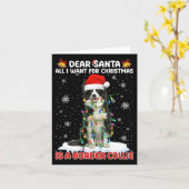 クリスマスに欲しいのはコリー縁どサンタさん カード (黄色い花)