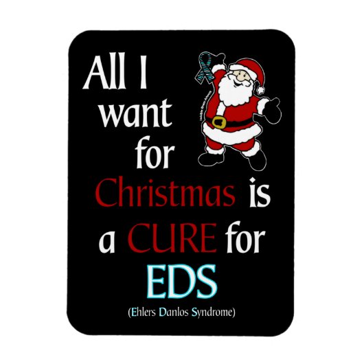 クリスマスに欲しいもの…EDSマグネット マグネット (縦)