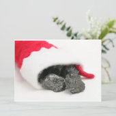 クリスマスに石炭がこぼれ落ちた塊 シーズンカード (スタンド正面)