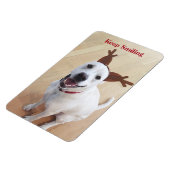 クリスマスに笑顔で保かわいい白犬 マグネット (左側)