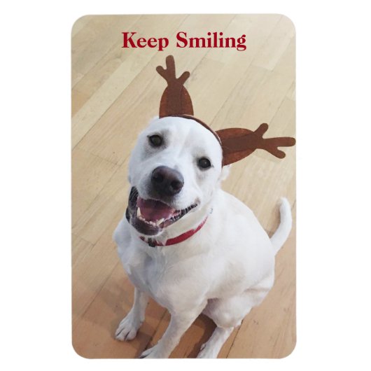 クリスマスに笑顔で保かわいい白犬 マグネット (縦)