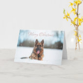 クリスマスに雪の中のドイツの羊飼い カード (黄色い花)